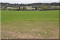 Farmland by Pett Lane