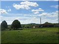 Cowshed and cows at Heath Farm