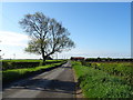 Minor road from North Frodingham to Brandesburton