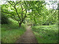 Steps on the Green Chain Walk