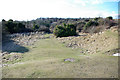 Old chalk pit, Lancing