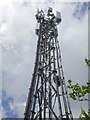 Broomhill mast