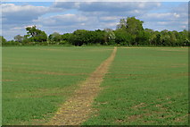 SP9245 : Footpath across the field by Philip Jeffrey