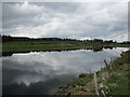 NS9933 : River Clyde south of Symington by Alan O'Dowd