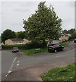 ST3091 : Dominant tree on a Malpas corner, Newport by Jaggery