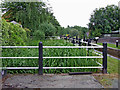SP3097 : Disused sidepond by Atherstone Top Lock in Warwickshire by Roger  Kidd