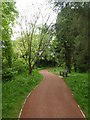 Seat by cycle track passing Millbrook Village, Exeter