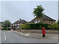 Central Avenue, Stapleford