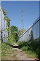 Pylon and Footpath 16