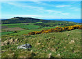 From  Howmoor Quarry Dun