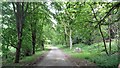 View down the track to the east of Sedgwick Park House