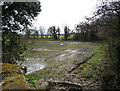 Field near the Lonco Brook