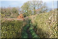 Bridleway, Lillington