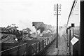 Templecombe locomotive shed ? 1962