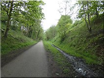 SJ9594 : Trans Pennine Trail by Gerald England