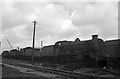 ST3287 : Scrap locomotives at Pill, Newport  1963 by Alan Murray-Rust