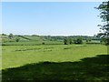 Farmland, east of Crewkerne