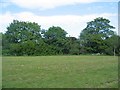 Green space off Kenpas Highway