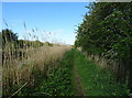 Path beside the Leven Canal