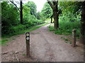 Wasley Hill path from South car park