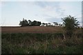 Fields on Bessell Lane Farm