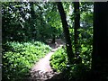 The north of Halliford Park looking south