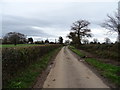 Butt Lane towards Long Compton