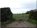 Gated field entrance off the Dale Lane