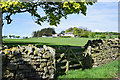 Wall with gate and field beyond