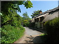 Thatched cottages on South Lane, Buriton