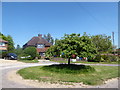 A modest amount of bunting in Highbury Grove