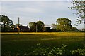 TM4065 : Rubblestone Farm, East Green, over a field of buttercups by Christopher Hilton