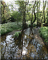 River Lin in Newtown Linford