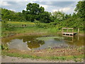 Callington Road dew pond