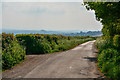 Copplestone : Country Lane