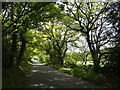 Priory Lane at Stoneywell Wood