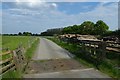 Bridleway on Scagglethorpe Moor