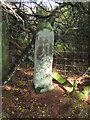 SE9799 : Old Boundary Marker by Mike Rayner