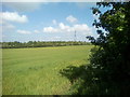 View towards North Stifford