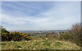 Wide view from the Promenade