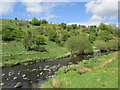 The Avon Water below Priestgill