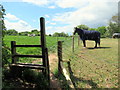 Stile on Footpath in Catshill