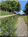 Churchyard footpath