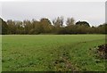 Footpath to Hillingdon Station