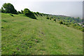 Downland above Coombe Bottom