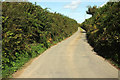 Lane to Wigford