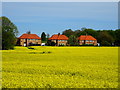 Houses on  Back Lane, West Lutton