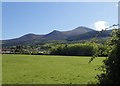 View across grazing land towards of the flank of the High Mournes