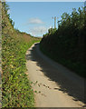 Lane near Coyton