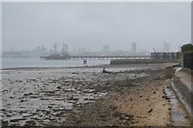 SU6101 : Shoreline, Portsmouth Harbour by N Chadwick